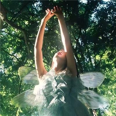 我的夏日恋曲